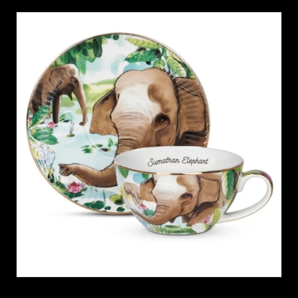 T2 Tea cup and saucer set NWOT